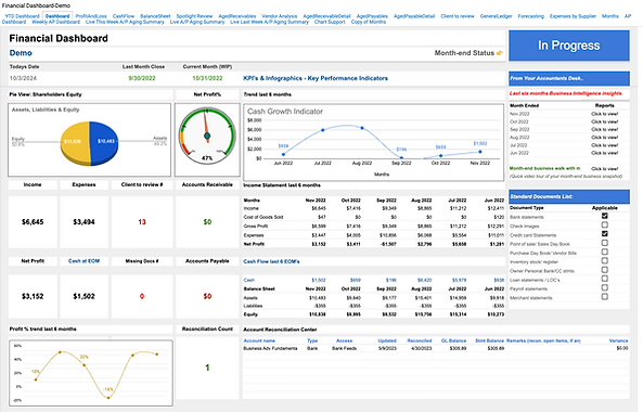 Financial dashboard showing various data points, including shareholder equity, cash growth, income, expenses, and key performance indicators, with an "In Progress" status banner.